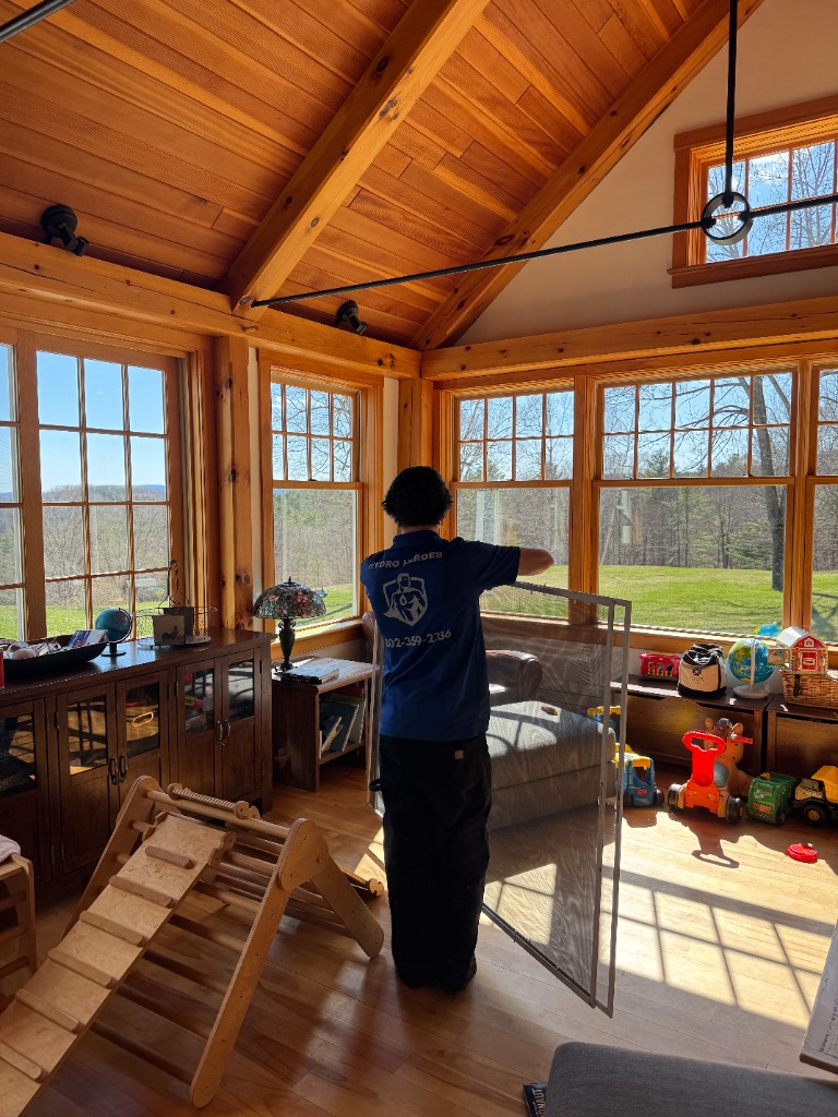 Window cleaning professional